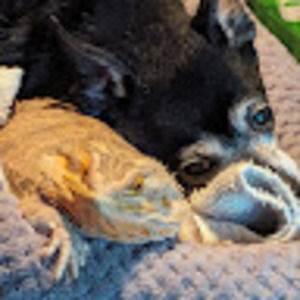 Meet your Posher, Ink